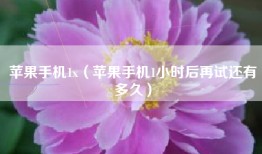 苹果手机1x（苹果手机1小时后再试还有多久）