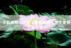 手机视频斗地主（手机视频斗地主免费下载安装）
