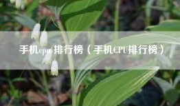 手机cpu 排行榜（手机CPU排行榜）