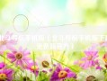 北斗导航手机版（北斗导航手机版下载免费版官方）