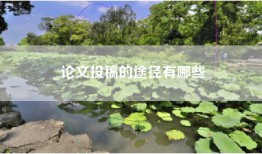 论文投稿的途径有哪些