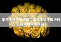 苹果手机主板维修（苹果手机主板维修过能被检测出来吗）