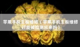 苹果手机主板维修（苹果手机主板维修过能被检测出来吗）