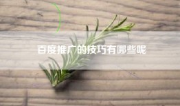 百度推广的技巧有哪些呢