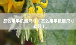 怎么用手机量尺寸（怎么用手机量尺寸软件）