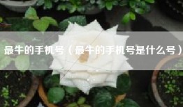 最牛的手机号（最牛的手机号是什么号）