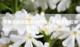 苹果手机在哪里调时间（苹果手机在哪里调时间颜色）
