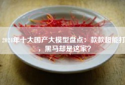 2024年十大国产大模型盘点：款款超能打，黑马却是这家？