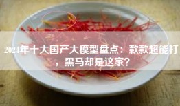 2024年十大国产大模型盘点：款款超能打，黑马却是这家？