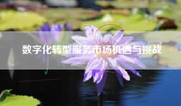 数字化转型服务市场机遇与挑战