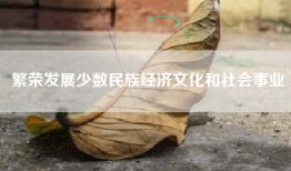 繁荣发展少数民族经济文化和社会事业