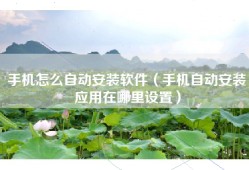 手机怎么自动安装软件（手机自动安装应用在哪里设置）