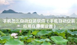 手机怎么自动安装软件（手机自动安装应用在哪里设置）