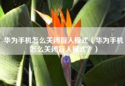 华为手机怎么关闭盲人模式（华为手机怎么关闭盲人模式？）