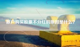 散户购买股票不分红的原因是什么？