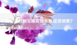如何通过朋友圈宣传业务,促进销售？