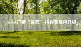 TikTok广结“盟友” 内容变现再升级