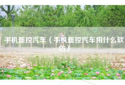 手机遥控汽车（手机遥控汽车用什么软仿）