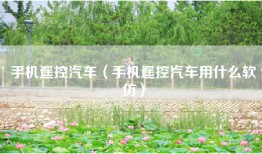 手机遥控汽车（手机遥控汽车用什么软仿）