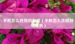 手机怎么连接到电视（手机怎么连接到电视机）