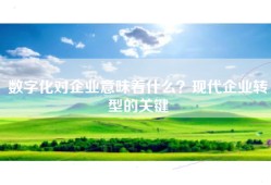 数字化对企业意味着什么？现代企业转型的关键