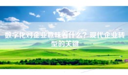数字化对企业意味着什么？现代企业转型的关键