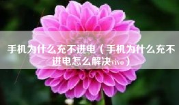 手机为什么充不进电（手机为什么充不进电怎么解决vivo）