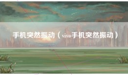 手机突然振动（vivo手机突然振动）