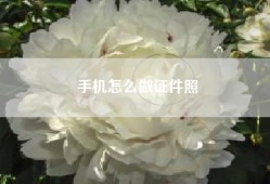 手机怎么做证件照