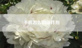 手机怎么做证件照