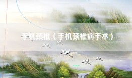 手机颈椎（手机颈椎病手术）