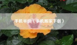 手机半价（手机搬家下载）