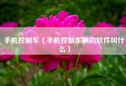 手机控制车（手机控制车辆的软件叫什么）