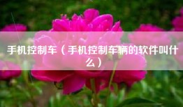 手机控制车（手机控制车辆的软件叫什么）