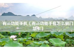 有nfc功能手机（有nfc功能手机怎么刷门禁卡）