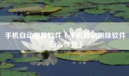 手机自动删除软件（手机自动删除软件怎么恢复）