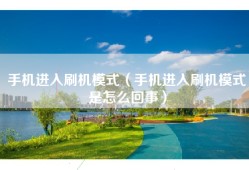 手机进入刷机模式（手机进入刷机模式是怎么回事）