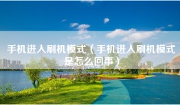手机进入刷机模式（手机进入刷机模式是怎么回事）