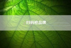 扫码枪品牌