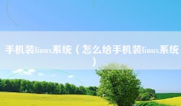 手机装linux系统（怎么给手机装linux系统）