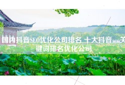 国内抖音SEO优化公司排名 十大抖音seo关键词排名优化公司