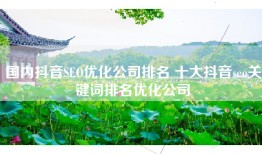 国内抖音SEO优化公司排名 十大抖音seo关键词排名优化公司