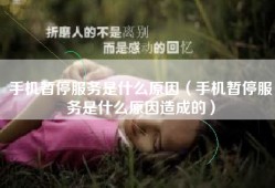 手机暂停服务是什么原因（手机暂停服务是什么原因造成的）