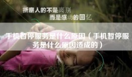 手机暂停服务是什么原因（手机暂停服务是什么原因造成的）