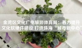 金湾区文化广电旅游体育局：着力提升文化软硬件建设 打造珠海“城市新中心”