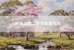 闲鱼上的二手手机能买吗