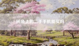 闲鱼上的二手手机能买吗