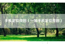 手机定位找回（一加手机定位找回）