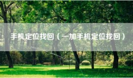 手机定位找回（一加手机定位找回）