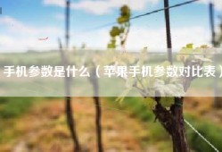 手机参数是什么（苹果手机参数对比表）